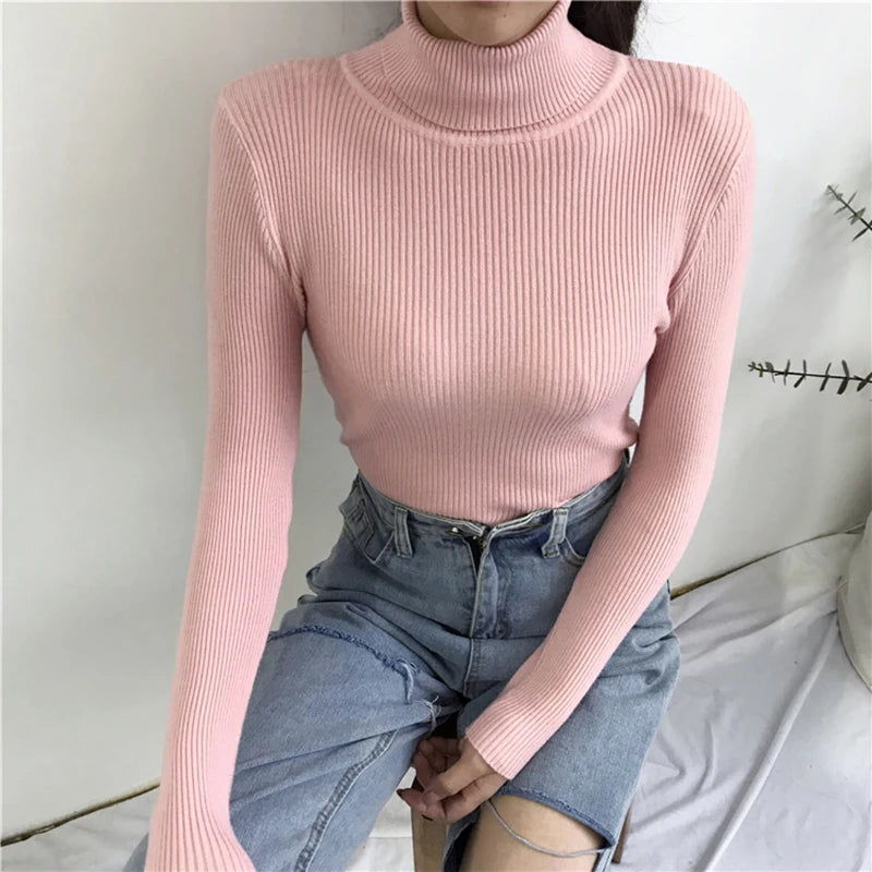 Turtleneck Sweater Womens Autumn Winter Tops 2024