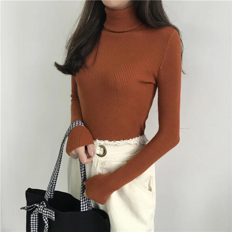 Turtleneck Sweater Womens Autumn Winter Tops 2024