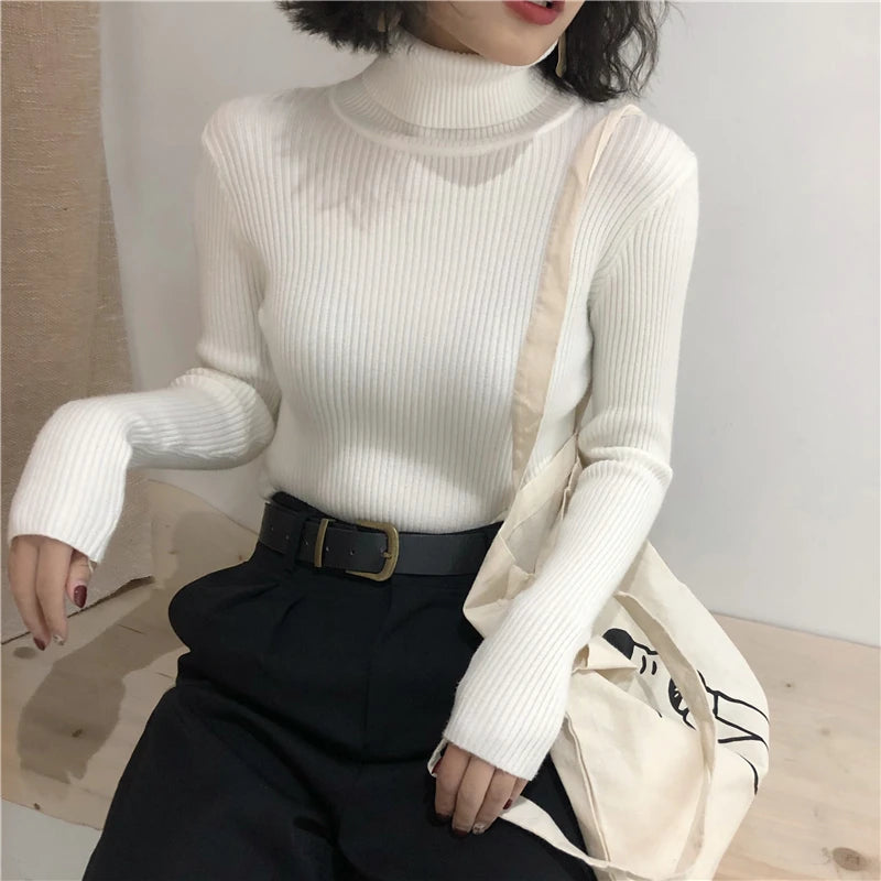 Turtleneck Sweater Womens Autumn Winter Tops 2024