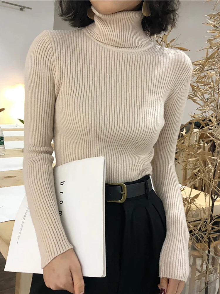 Turtleneck Sweater Womens Autumn Winter Tops 2024