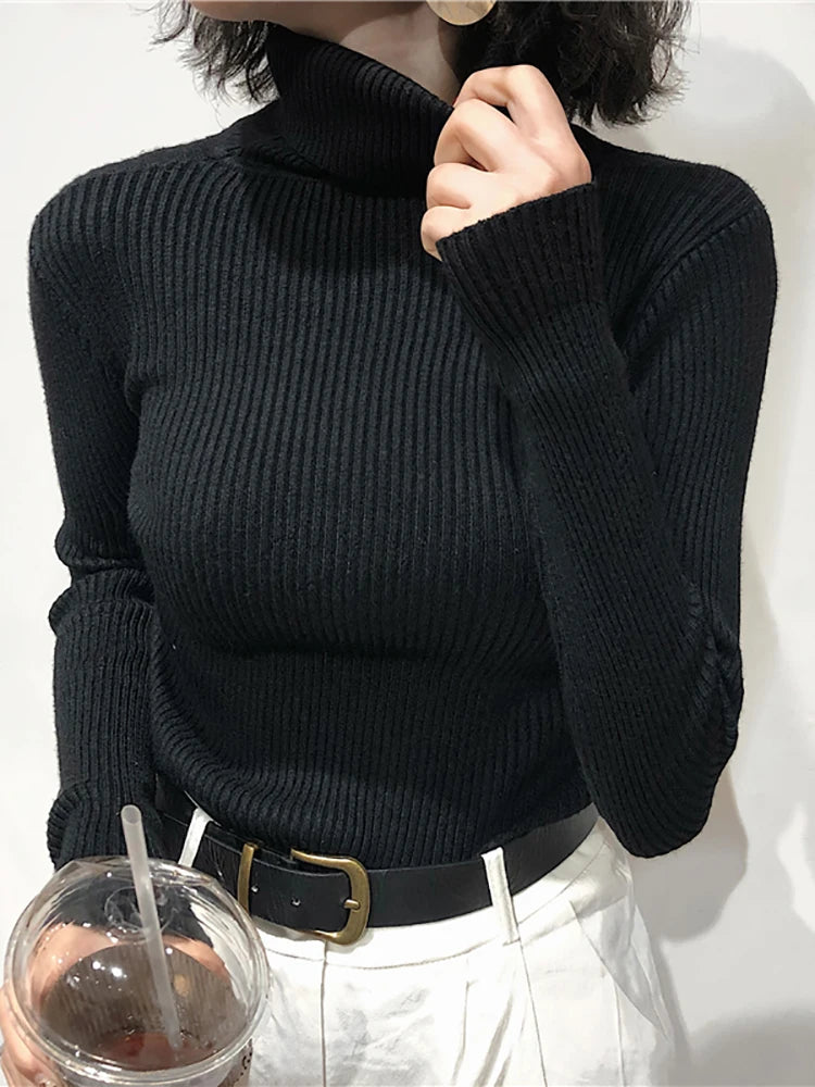 Turtleneck Sweater Womens Autumn Winter Tops 2024